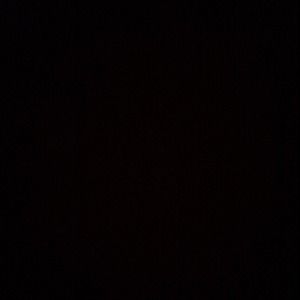 Meet your Posher, Daisy